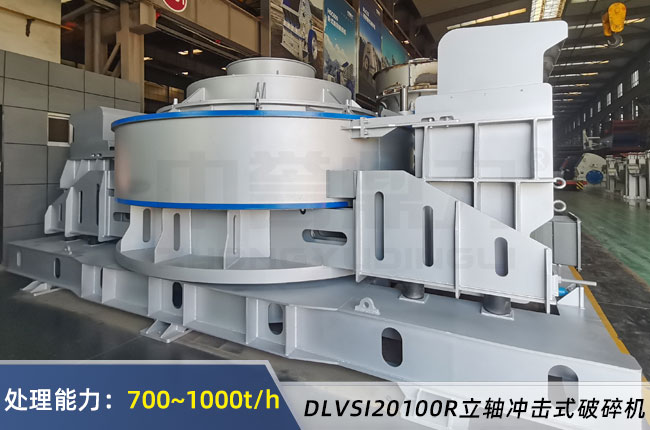 DLVSI20100R���S�_����