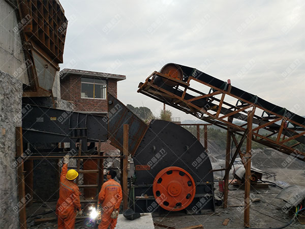 �Nʽ����C�����S�o